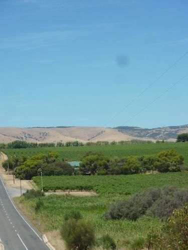 Amande Bed And Breakfast Mclaren Vale Luaran gambar